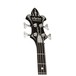 Schecter Sean Yseult Casket Bass Guitar, Black