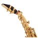 Odyssey OSS650C Premiere Bb Curved Soprano Saxophone