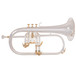 Odyssey OFG1300SG Flugel Horn, Silver and Gold