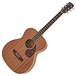 Larrivée OM-03AM All Mahogany Acoustic Guitar, Natural - Box Opened