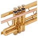 Deluxe Trumpet by Gear4music, Gold