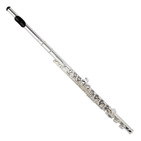 Trevor James Virtuoso Flute, Wood Lip Plate