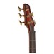 SR805 5-String Bass Guitar, Aged Whiskey Burst