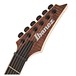 Ibanez RGAIX6U Iron Label Electric Guitar, Antique Brown Stain