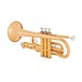 Yamaha YCR4330GII Intermediate Cornet