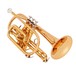 Yamaha YCR4330GII Intermediate Cornet