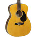 Tanglewood TN5 Nashville Folk Acoustic Guitar, Natural