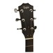 Taylor 214ce-BLK DLX Left Handed Grand Auditorium Electro Acoustic (2017)