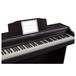 Roland RP501R iPad