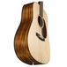 Martin DST Special Edition