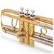 Jupiter JTR-1102 Trumpet Outfit, Clear Lacquer