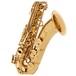 Odyssey OTS800 Premiere Bb Tenor Saxophone