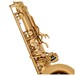 Odyssey OTS800 Premiere Bb Tenor Saxophone
