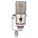 Neumann TLM 170 R Microphone