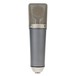 Neumann TLM 67 Switchable Microphone