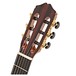 Cordoba 45MR Espana Classical Guitar, Cedar High Gloss