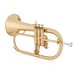 Flugel Horn by Gear4music