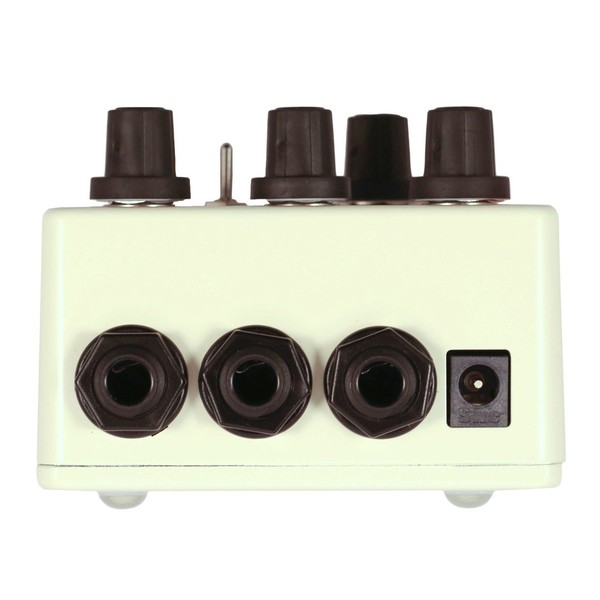 Red Panda Raster 3