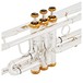 Coppergate Professional Trumpet by Gear4music