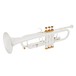 Coppergate Professional Trumpet by Gear4music