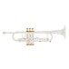 Coppergate Professional Trumpet by Gear4music