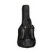 Tanglewood OGB EA5 Adventurer Series Electric Acoustic Guitar Bag rear view