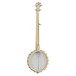 Tanglewood TWB 18 M5 OB Union Series Banjo