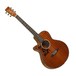 Tanglewood Sundance Pro Super Folk 