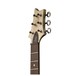 PRS S2 Vela, Champagne Gold Metallic (2017)