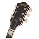 Gretsch G2622 Streamliner Center Block with V-Stoptail, Walnut Stain