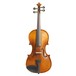 Stentor Graduate Violin Outfit 4/4