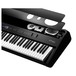 Roland FP90 Stage Piano Speaker