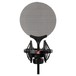 sE Isolation Pack - Shock Mount and Pop Filter - Front