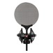 sE Isolation Pack - Shock Mount and Pop Filter - Front