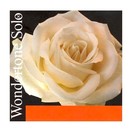 Pirastro Wondertone Solo 26.7 Violin E String, Ball End