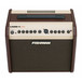 Fishman Loudbox Mini Amplifier