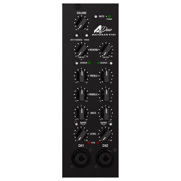 A-Duo Acoustic Guitar Amp