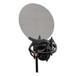 sE Electronics VR1 Voodoo Ribbon Mic With Isolation Pack - Angled