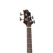 Greg Bennett AB-2 Electro Acoustic Bass Guitar, Natural