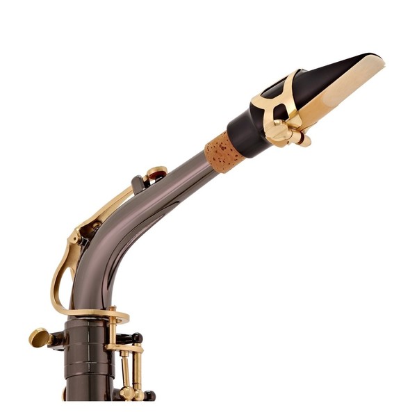 Alto Saxophone Complete Package, Black + Gold