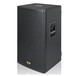 Dynacord PowerSub 212 Powered Subwoofer