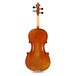 Eastman Master Viola Outfit with Gold Level Setup, 15.5''