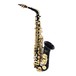 Elkhart 100AS Student Alto Saxophone, Black