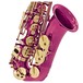 Elkhart 100AS Student Alto Saxophone, Pink