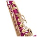 Elkhart 100AS Student Alto Saxophone, Pink