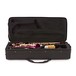 Elkhart 100AS Student Alto Saxophone, Pink