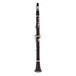 Buffet R13 Professional Bb Clarinet Outfit