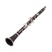 Buffet R13 Professional Bb Clarinet Outfit