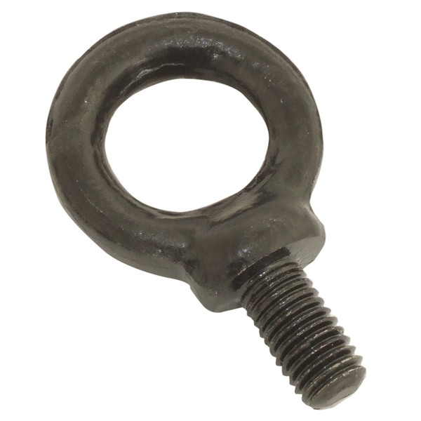 Electrovision 10mm Eye Bolt