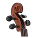 Stentor Student 2 Violin Outfit, 3/4, head